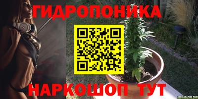 мяу мяу мука Жуковский