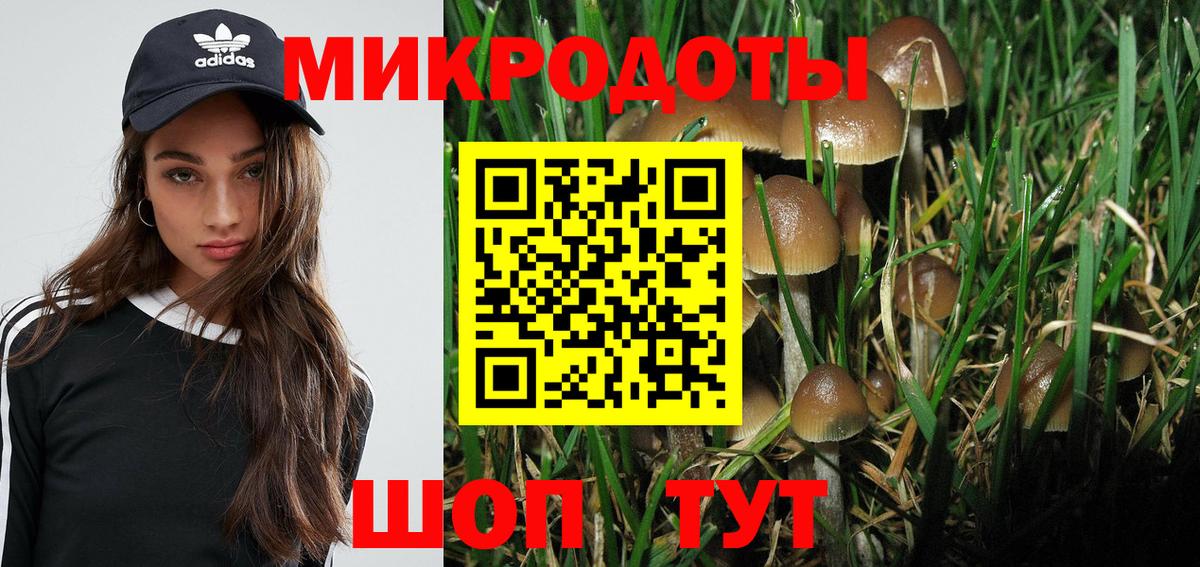 Псилоцибиновые грибы Psilocybine cubensis  Вход с VPN  Майский 